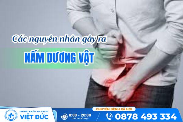 Nguyên nhân bị nấm dương vật và cách hỗ trợ trị nấm hiệu quả 2 Nguyên nhân bị nấm dương vật